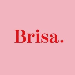 Logo Brisa